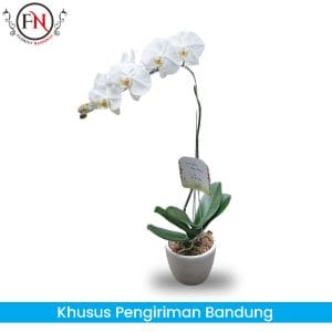 Read more about the article Pilihan Terbaik Toko Karangan Bunga Bandung & Spesialis Bunga Papan Bandung